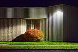 Red Bush At Night_29980-91